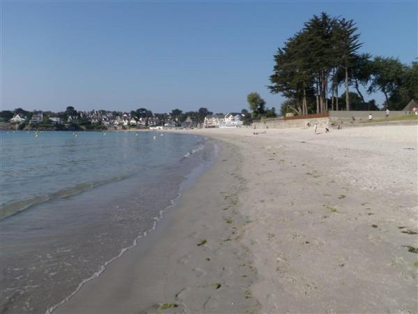 T3 Rdc 200 M2 De Jardin Plages A 700 M Plougonvelin Exterior photo